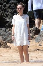 OLIVIA WILDE at a Beach in Maui 04/16/2016