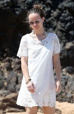 OLIVIA WILDE at a Beach in Maui 04/16/2016