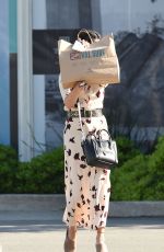VANESSA HUDGENS Out Shopping in Los Angeles 04/13/2016