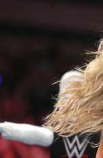 WWE - aw Digitals 04/04/2016