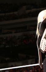 WWE - aw Digitals 04/04/2016