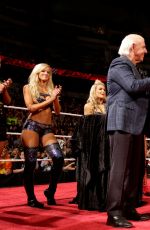 WWE - aw Digitals 04/04/2016