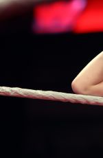 WWE - aw Digitals 04/04/2016