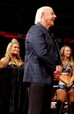 WWE - aw Digitals 04/04/2016
