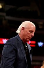 WWE - aw Digitals 04/04/2016