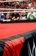 WWE - aw Digitals 04/04/2016