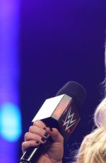 WWE - aw Digitals 04/04/2016