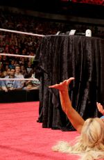 WWE - aw Digitals 04/04/2016