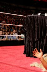 WWE - aw Digitals 04/04/2016