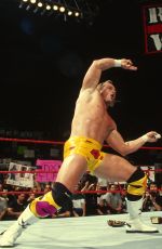 WWE - Chyna