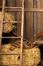 WWE - Cowgirls Photoshoot