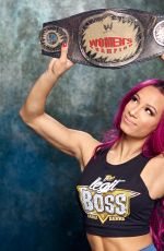 WWE - Current Superstars, Classic Championships