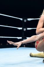 WWE in Brussels
