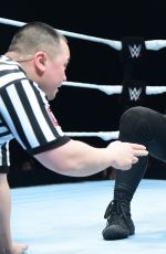 WWE in Brussels