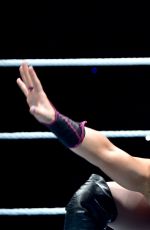 WWE in Brussels