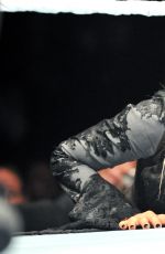 WWE in Brussels