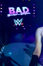 WWE in Brussels
