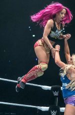 WWE in Dublin