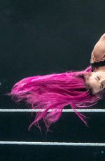 WWE in Dublin