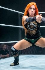 WWE in Dublin