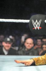 WWE in Newcastle