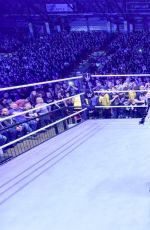WWE in Newcastle