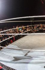 WWE in Sheffield