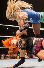 WWE in Sheffield