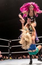 WWE in Sheffield