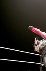 WWE Live in Leeds