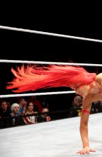 WWE Live in Leeds