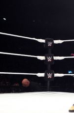 WWE - Live in Milan, Italy