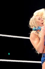 WWE - Live in Milan, Italy