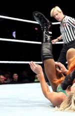WWE Live in Nottingham