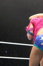 WWE Live in Nottingham