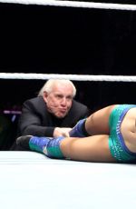 WWE Live in Nottingham