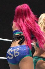 WWE Live in Nottingham