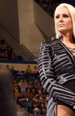 WWE - Raw Digitals 04/25/2016