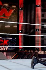 WWE - Raw Digitals 04/25/2016