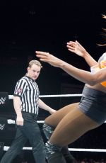 WWE - The Best of Brie Bella