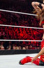 WWE - The Best of Brie Bella