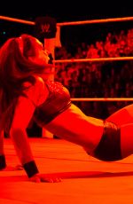 WWE - The Best of Brie Bella