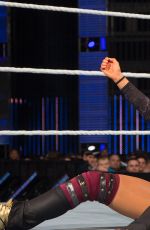 WWE - The Best of Brie Bella