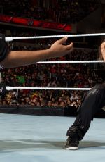 WWE - The Best of Brie Bella