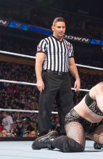 WWE - The Best of Brie Bella