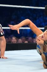 WWE - The Best of Brie Bella