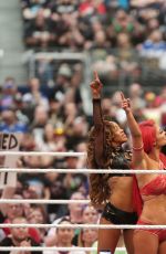 WWE - The Best of Brie Bella