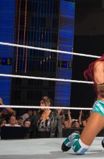 WWE - The Best of Brie Bella