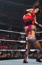 WWE - The Best of Brie Bella