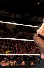 WWE - The Best of Brie Bella